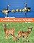Wayne Lynch's Canadian Rockies Wildlife for Kids
