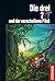 Die drei ??? und der verschollene Pilot (Drei Fragezeichen, #163)