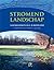 Stromend landschap, vloeiweidenstelsels in Nederldand