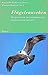 Flügelrauschen. Erzählungen zeitgenössischer isländischer Autoren