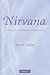 Nirvana: Concept, Imagery, Narrative