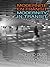 Modernite En Transit - Modernity in Transit by Richard Dube