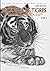 Histoire de tigres 2(Les gardiens du royaume de Joseon 2)
