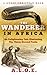 The Wanderer in Africa by A.L.O.E.