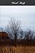 Moral Briefs: A Concise, Re...