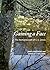 Gaining a Face: The Romanti...