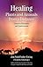 Healing Plants and Animals from a Distance: Curative Principles and Applications