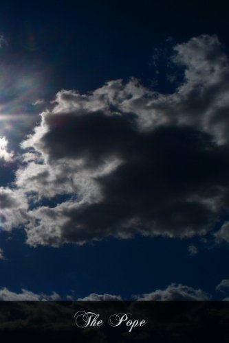 The Pope: Considered In Relations With The Church, Temporal Sovereignties, Separated Churches, And The Cause Of Civilization (Paperback)