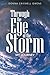 Through the Eye of the Storm: My Journey