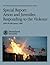 Special Report: Arson and J...