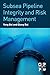 Subsea Pipeline Integrity and Risk Management