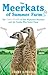 The Meerkats of Summer Farm
