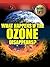 What Happens If the Ozone D...