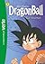 Dragon Ball: Le tournoi