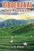 Ridderzaal -- Tea Plantation