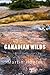 Canadian Wilds: Tells About the Hudson's Bay Company, Northern Indians and Their Modes of Hunting, Trapping, Etc.