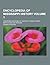 Encyclopedia of Mississippi History; Comprising Sketches of C... by Dunbar Rowland