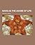 Mars as the Adobe of Life