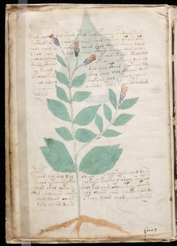 The Voynich Manuscript