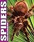 Spiders Photo Fact Collection