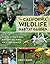 The California Wildlife Habitat Garden: How to Attract Bees, Butterflies, Birds, and Other Animals