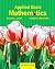 Applied Basic Mathematics