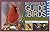 Stokes Beginner's Guide to Birds: Eastern Region (Stokes Field Guide Series)