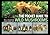 The Pocket Guide to Wild Mushrooms: Helpful Tips for Mushrooming in the Field