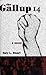 The Gallup 14: A True Crime Novel