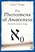 The Phenomena of Awareness: Husserl, Cantor, Jung
