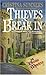 Thieves Break In (Divine Mystery Book 2)