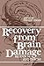 Recovery from Brain Damage by Stanley Finger