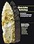 Clovis Lithic Technology: Investigation of a Stratified Workshop at the Gault Site, Texas (Peopling of the Americas Publications)