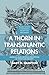 A Thorn in Transatlantic Relations: American and European Perceptions of Threat and Security (Governance, Security and Development)