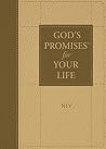 God's Promises fo...