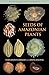Seeds of Amazonian Plants (Princeton Field Guides Book 66)