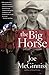 The Big Horse by Joe McGinniss