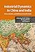 Industrial Dynamics in China and India: Firms, Clusters, and Different Growth Paths (IDE-JETRO Series)