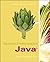 Data Structures and Problem Solving Using Java