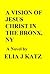 A VISION OF JESUS CHRIST IN THE BRONX, NY