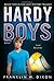 Lost Brother: Book Two in the Lost Mystery Trilogy (Hardy Boys (All New) Undercover Brothers 35)