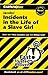 CliffsNotes on Jacobs' Incidents in the Life of a Slave Girl (Cliffsnotes Literature Guides)
