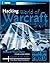 Hacking World of Warcraft