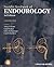 Smith's Textbook of Endouro...