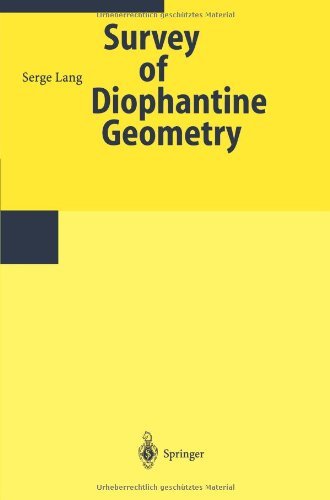 Survey on Diophantine Geometry (Kindle Edition)