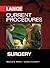 CURRENT Procedures Surgery (LANGE CURRENT Series)