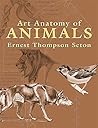 Art Anatomy of An...
