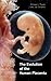 The Evolution of the Human Placenta