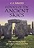 Echoes of the Ancient Skies by E.C. Krupp