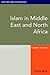 Islam in Middle East and North Africa by David Commins